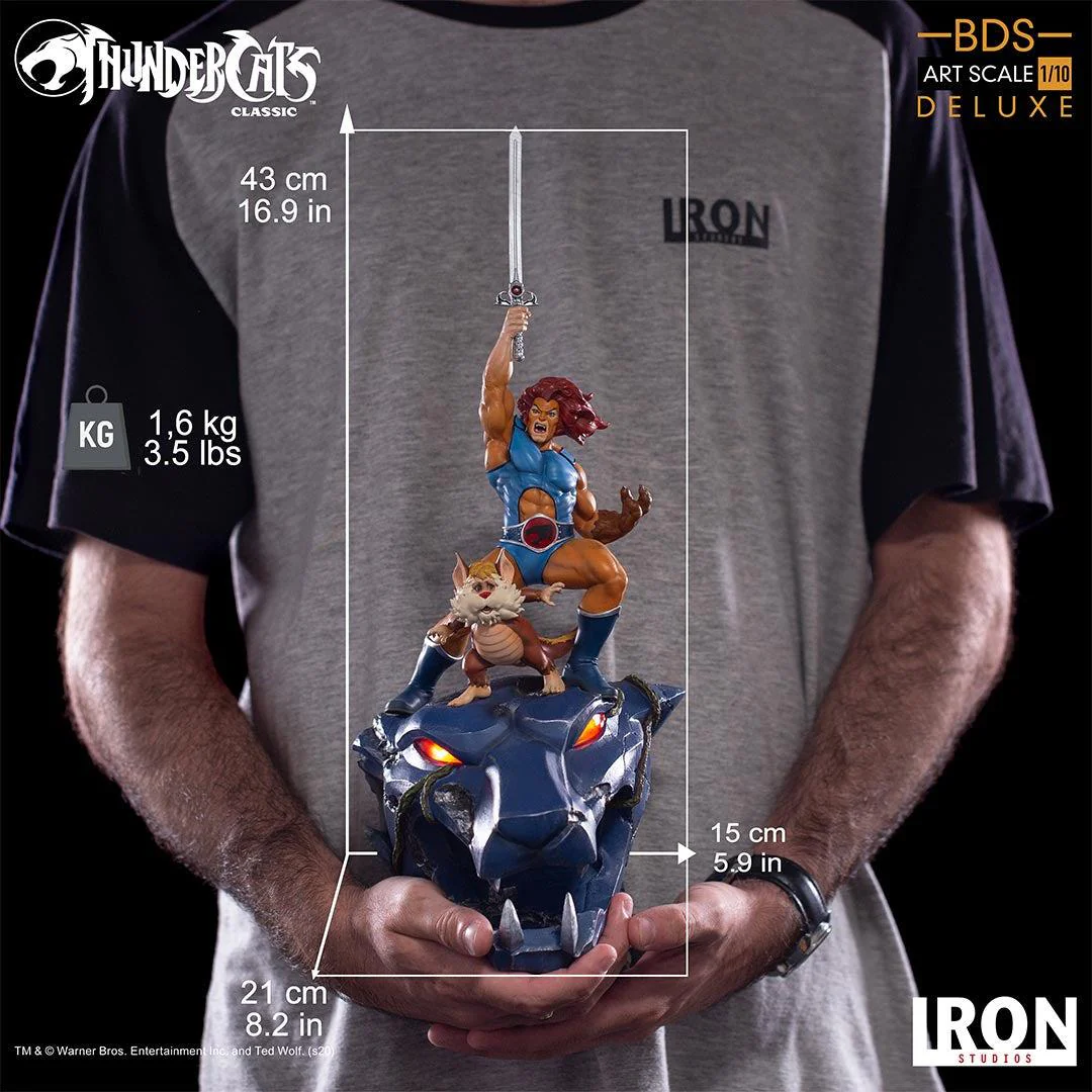 Product image 24